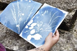 Atelier cyanotype : voyage au cœur du bleu